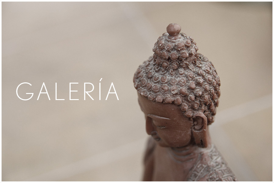 Centro Kanda, tu Oasis de Yoga